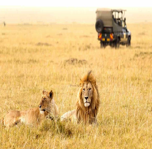 3 Days, 2 Nights Masai Mara Safari Itinerary