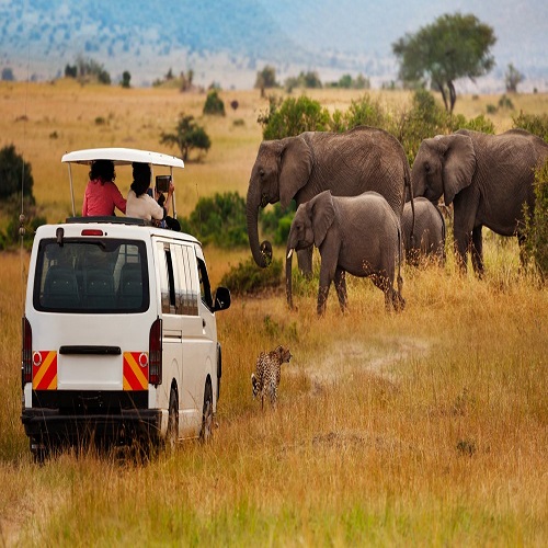 Amboseli-National-Park-safari