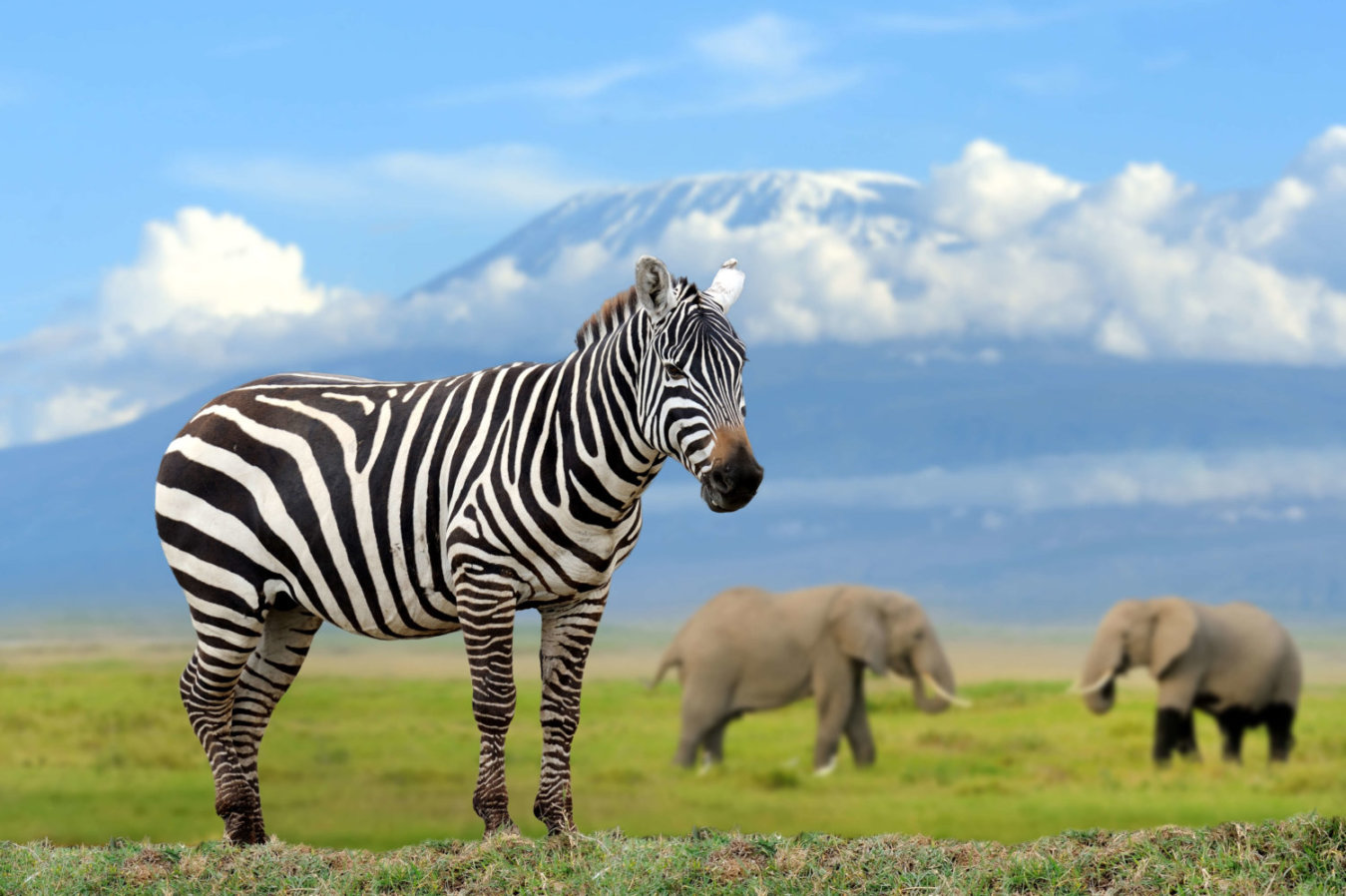 Amboseli-National-Park
