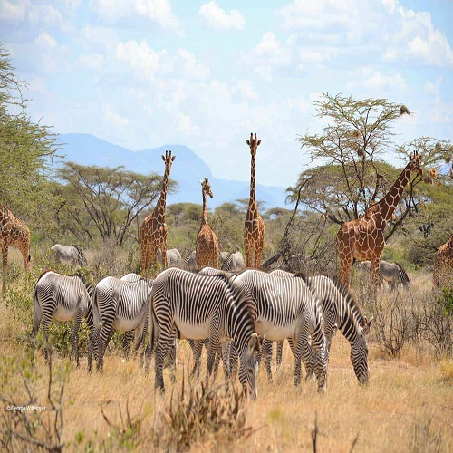 Samburu-National-Park-1