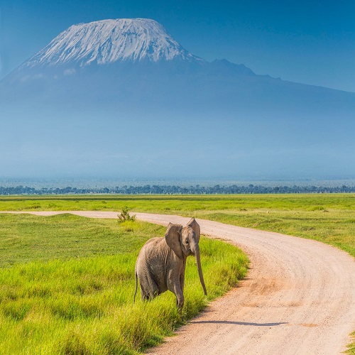 amboseli-national-park
