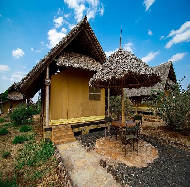 Amboseli Safari