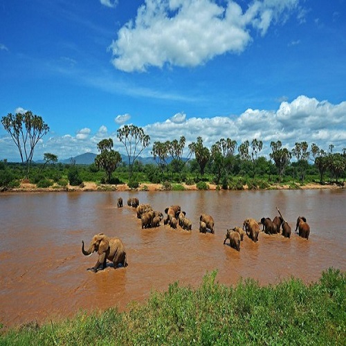 samburu-national-reserve (2)